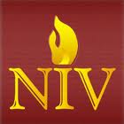 Read the article about "Not your Father's NIV"