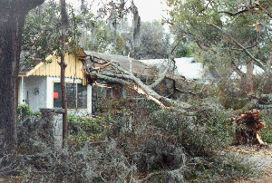 Churches of Christ Disaster Relief